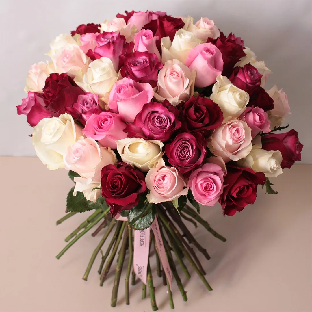 Morning Hug - L 55 - Image 2