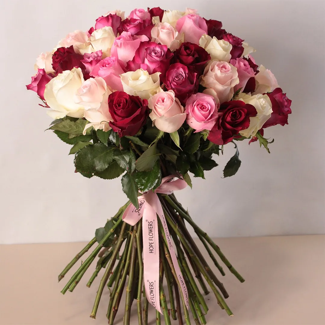 Morning Hug - L 55 - Image 3