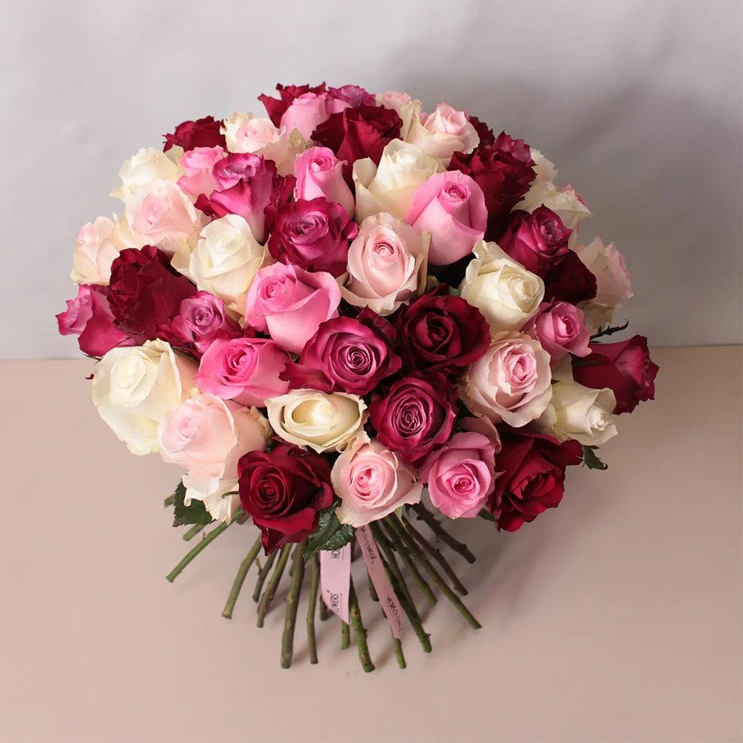 Morning Hug - L 55 - Image 4