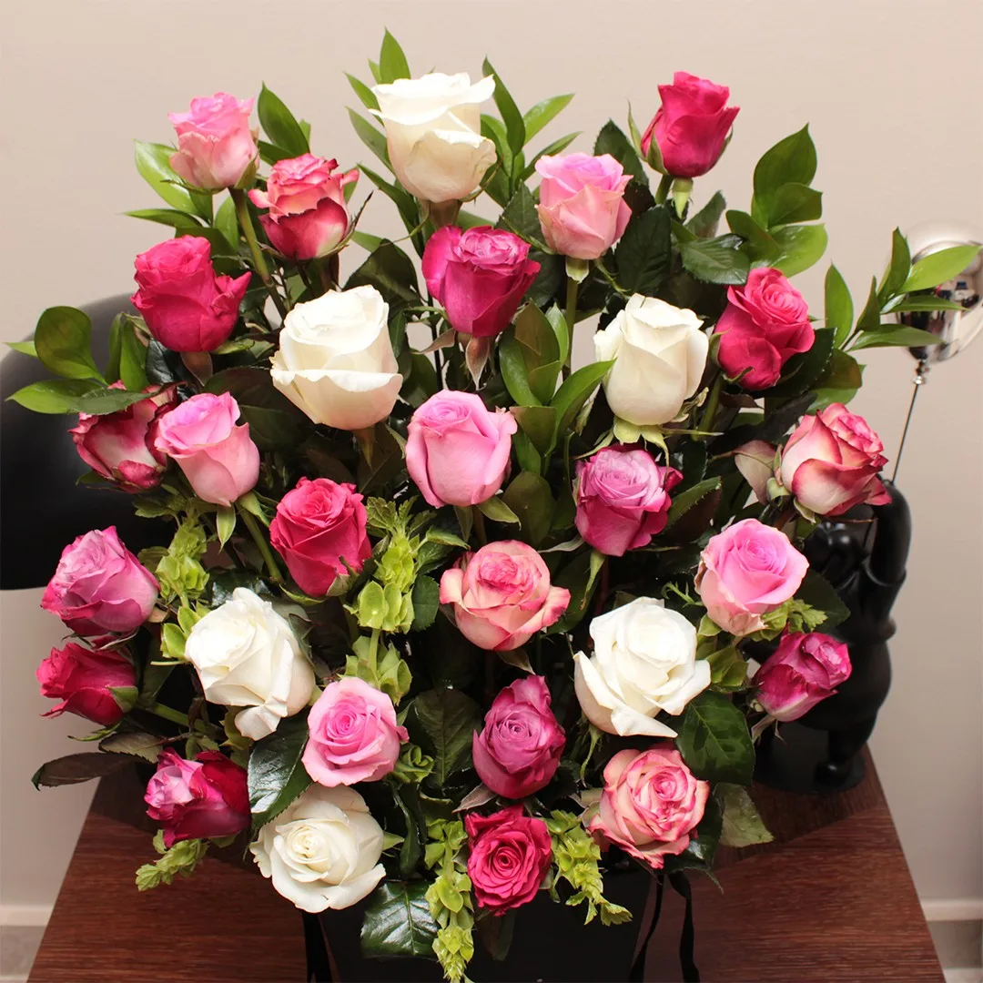 Embrace - em14 - Image 2