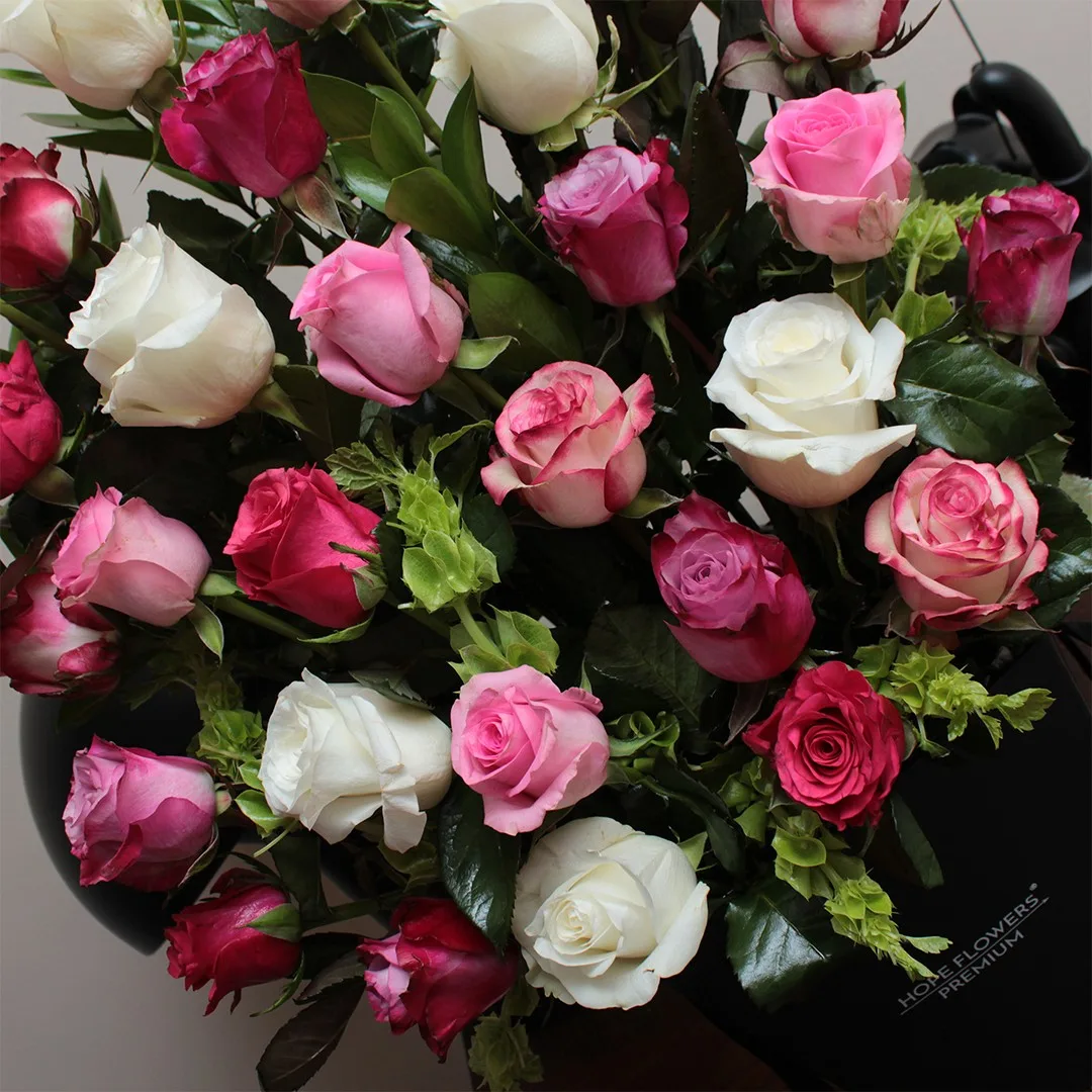 Embrace - em14 - Image 3