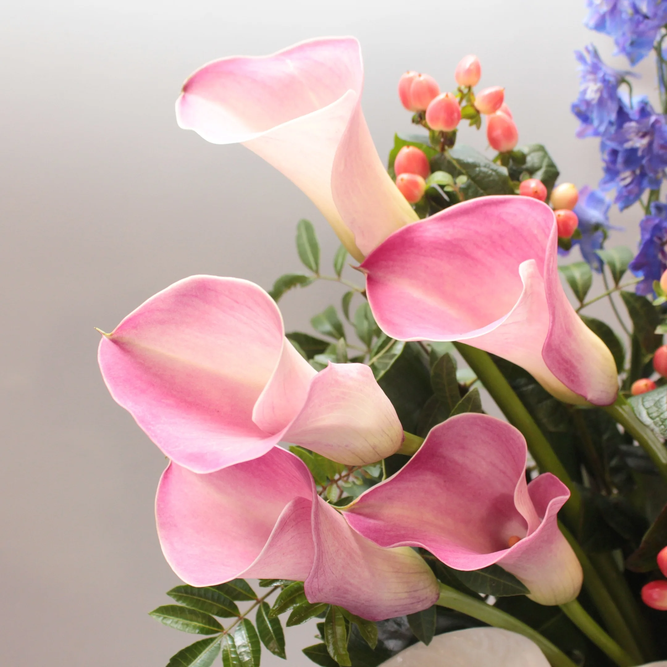 Fresh Garden - Rm 86 - Image 3