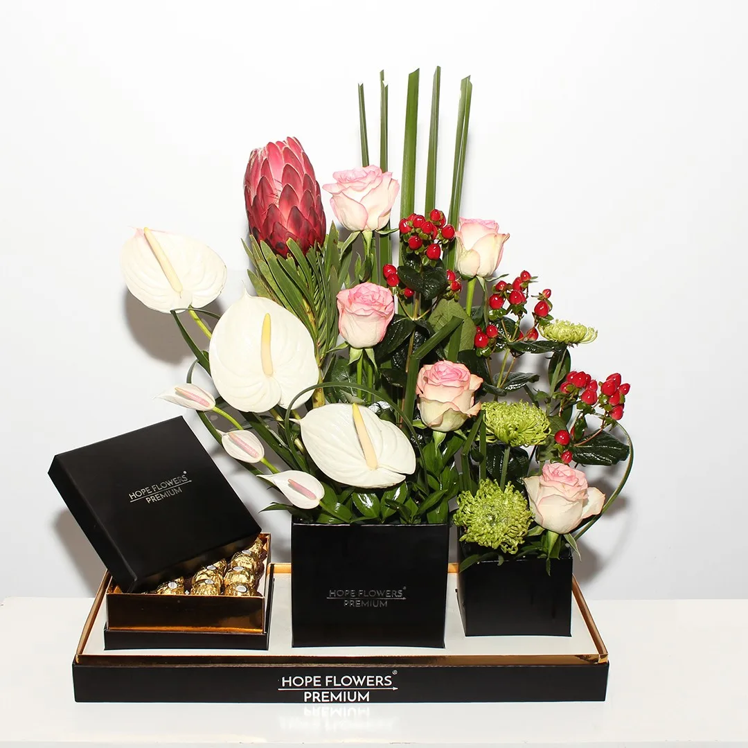 Love Harmony - Rm 113