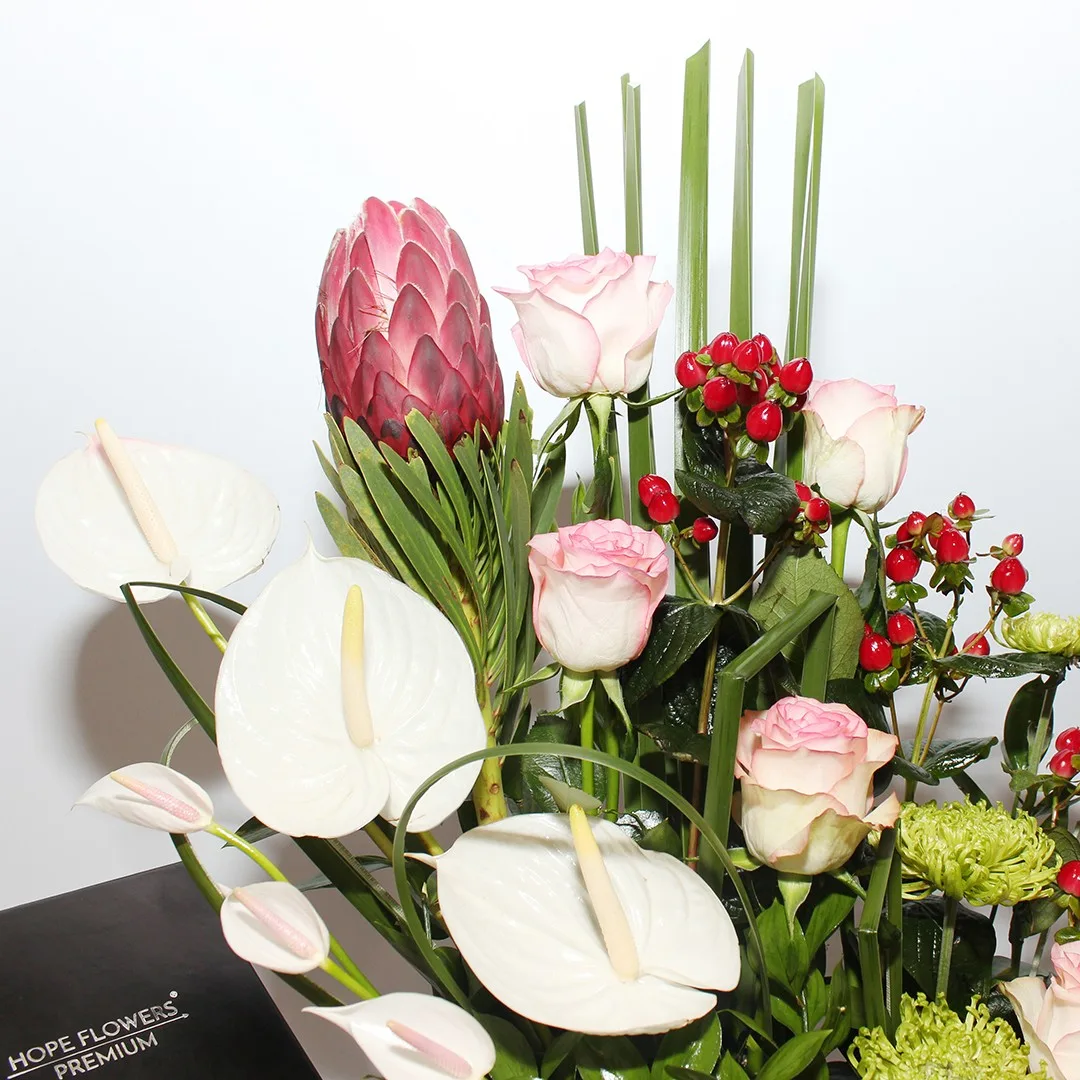 Love Harmony - Rm 113 - Image 3