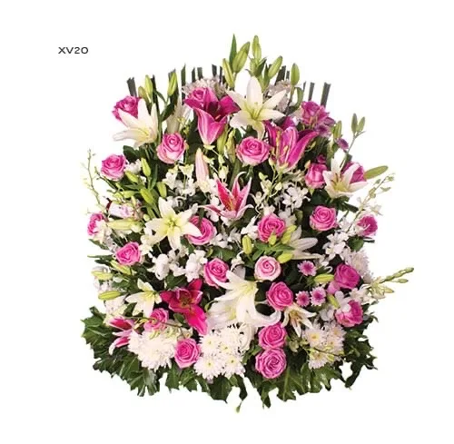 Soft Lavender - Xv 20