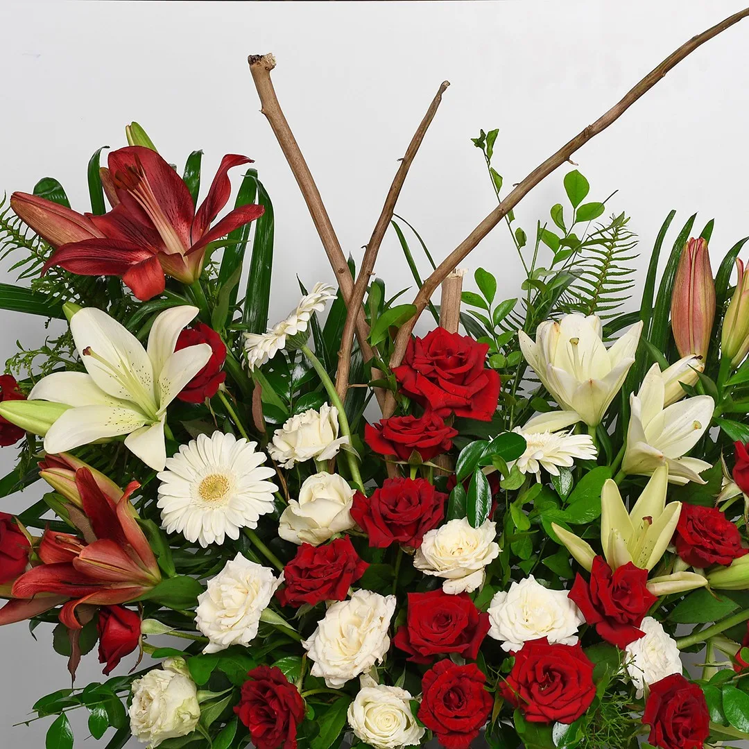 Radiant Rose - Nc 11 - Image 2