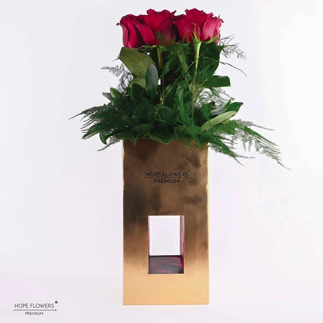 Sweet - L 13 - Image 2