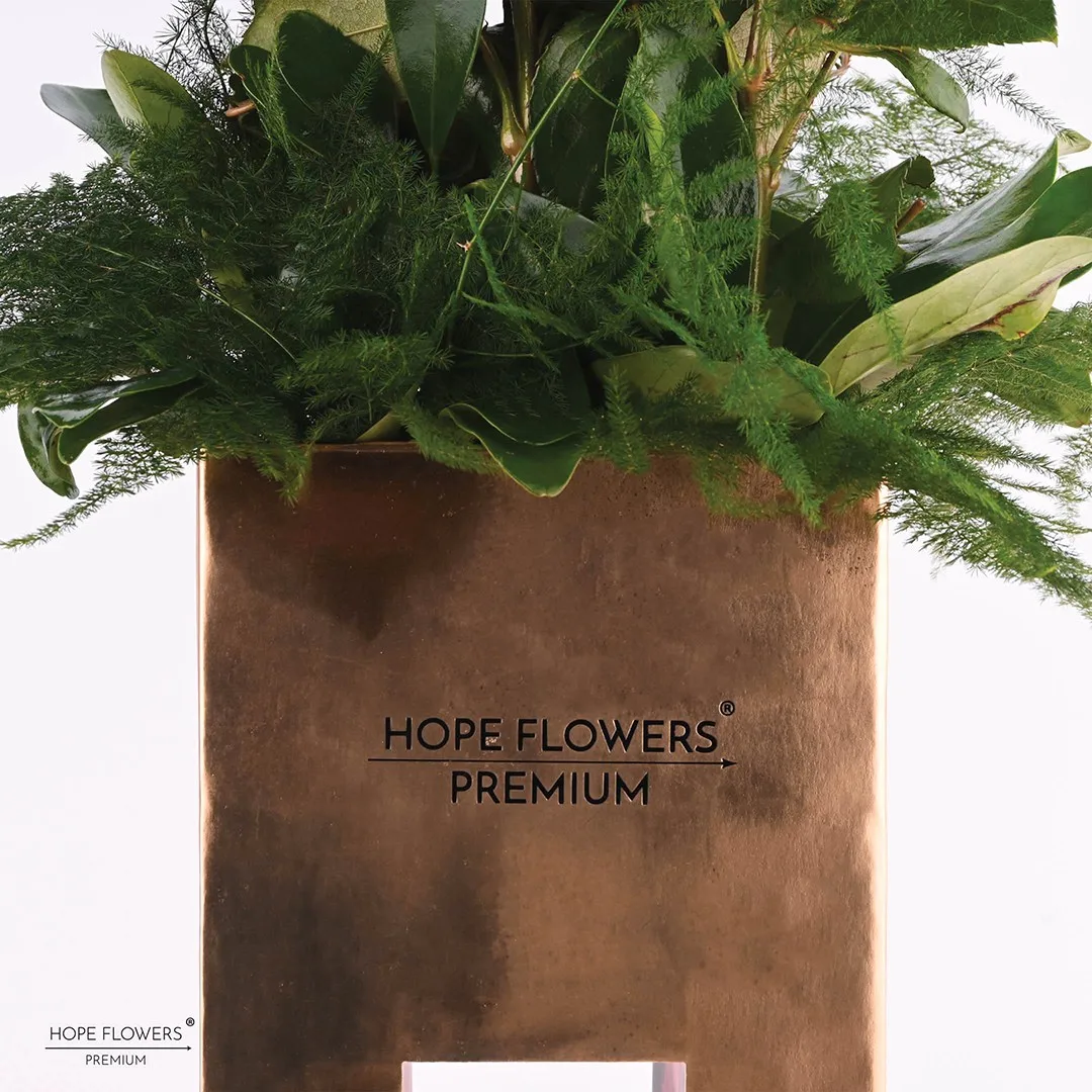 Sweet - L 13 - Image 3