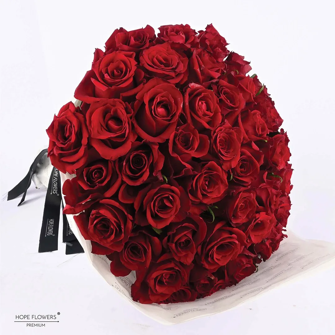 Wrapped in Red - L 22 - Image 2