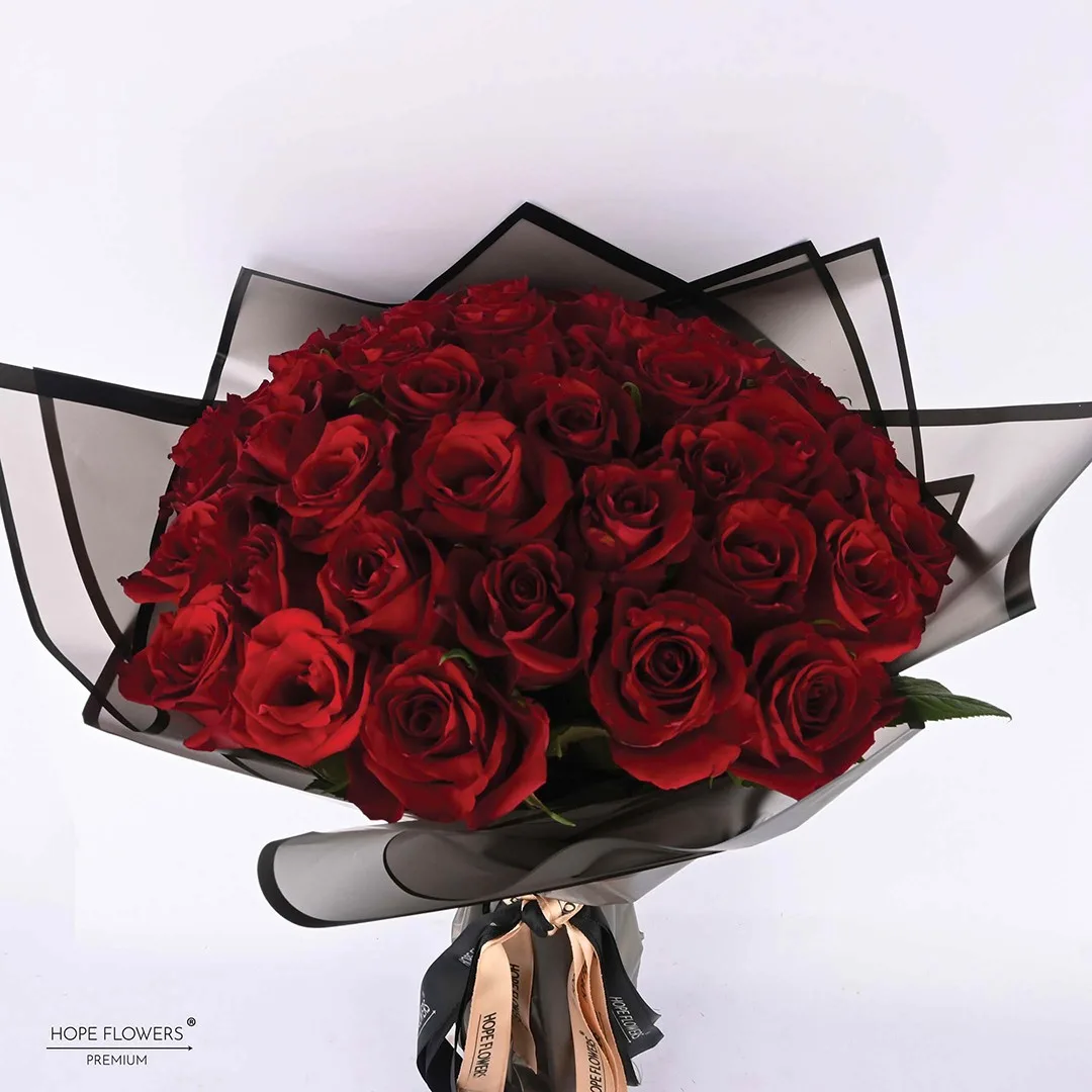 Warm Hug - L 23 - Image 2