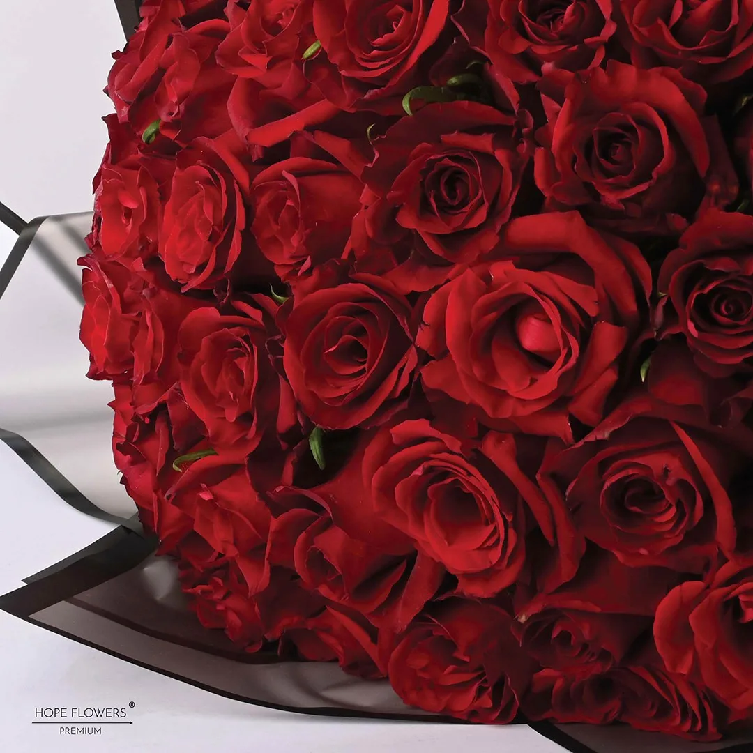 Warm Hug - L 23 - Image 6