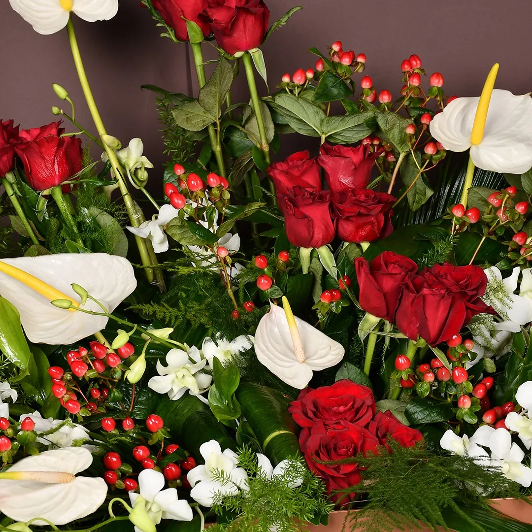 Breathtaking - L 36 - Image 4