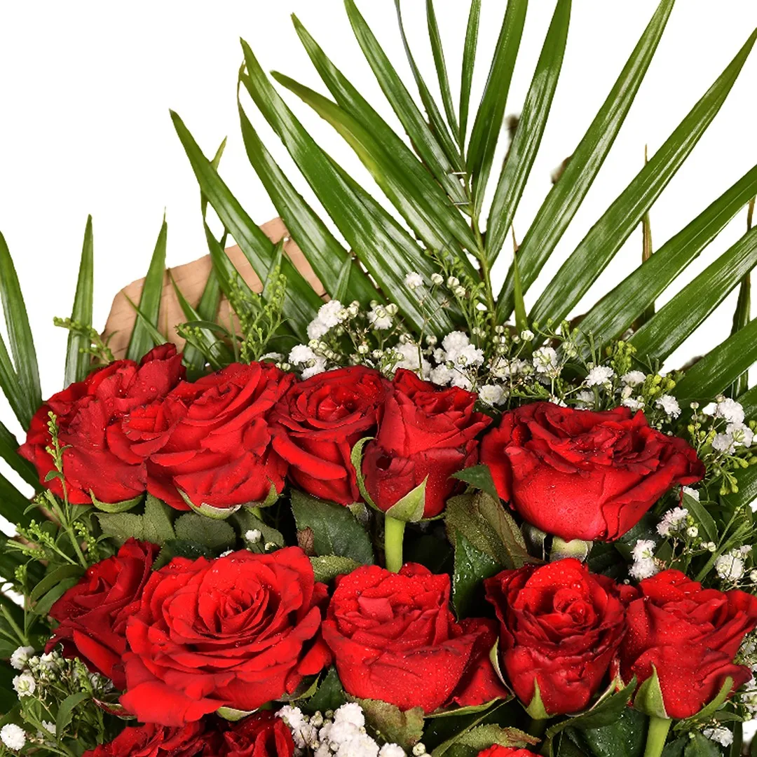 True Simplicity - Eq 17 - Image 3