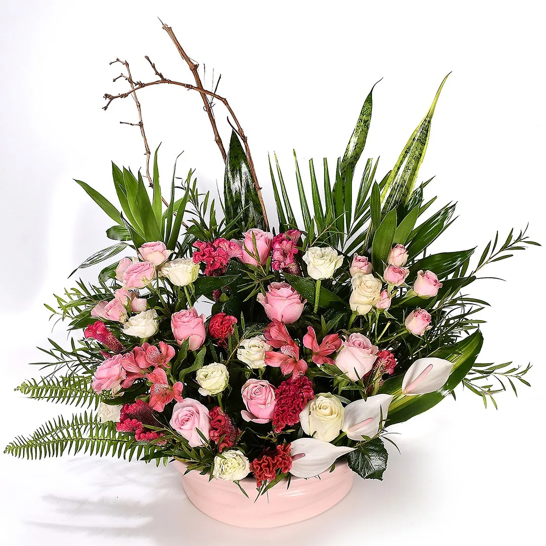 Rosy Glow - Nc 53 - Image 2