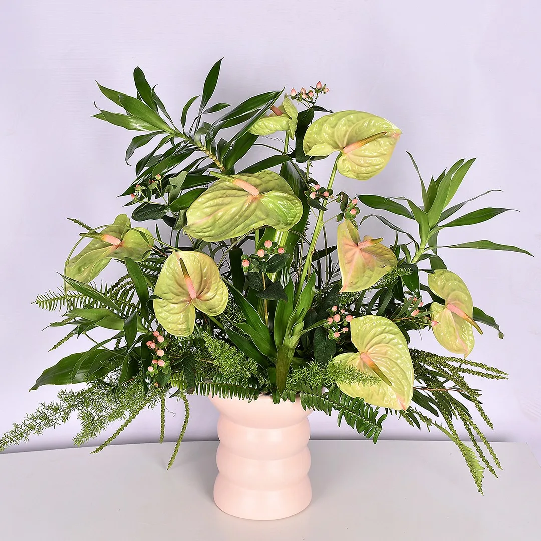 Everyday Bright - Nc 60 - Image 2