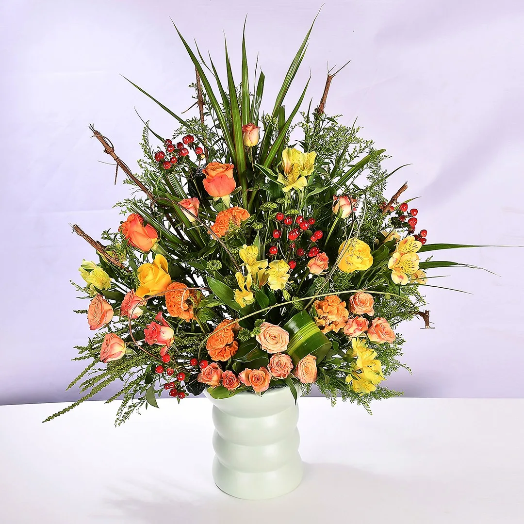 Color Joy - Nc 63 - Image 2