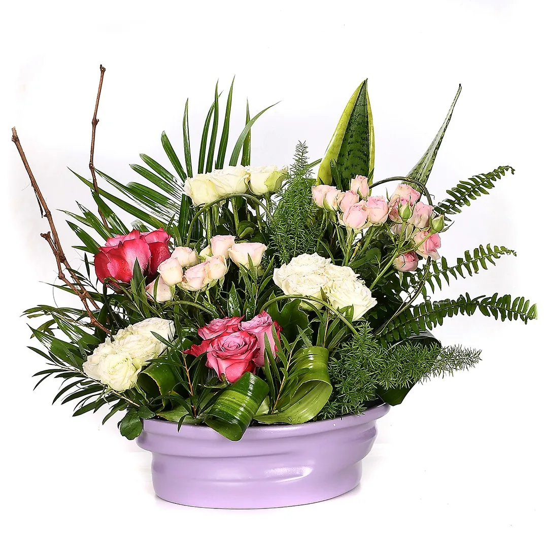 Kind Gesture - Nc 66 - Image 2