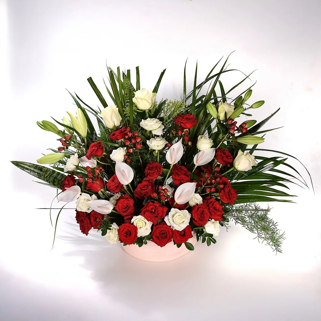 Soft Moments - Nc 69 - Image 2