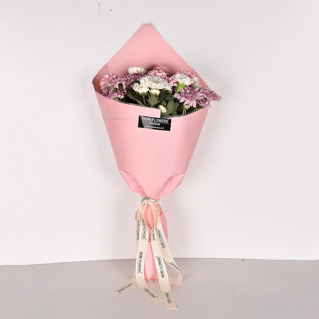 Daily Delight - Eq 70 - Image 2