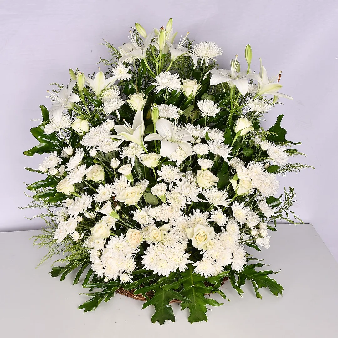 Soft Space - Em 46 - Image 2