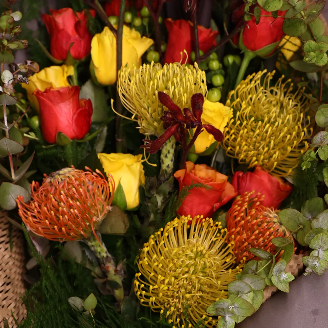 Bliss - Ar 13 - Image 2