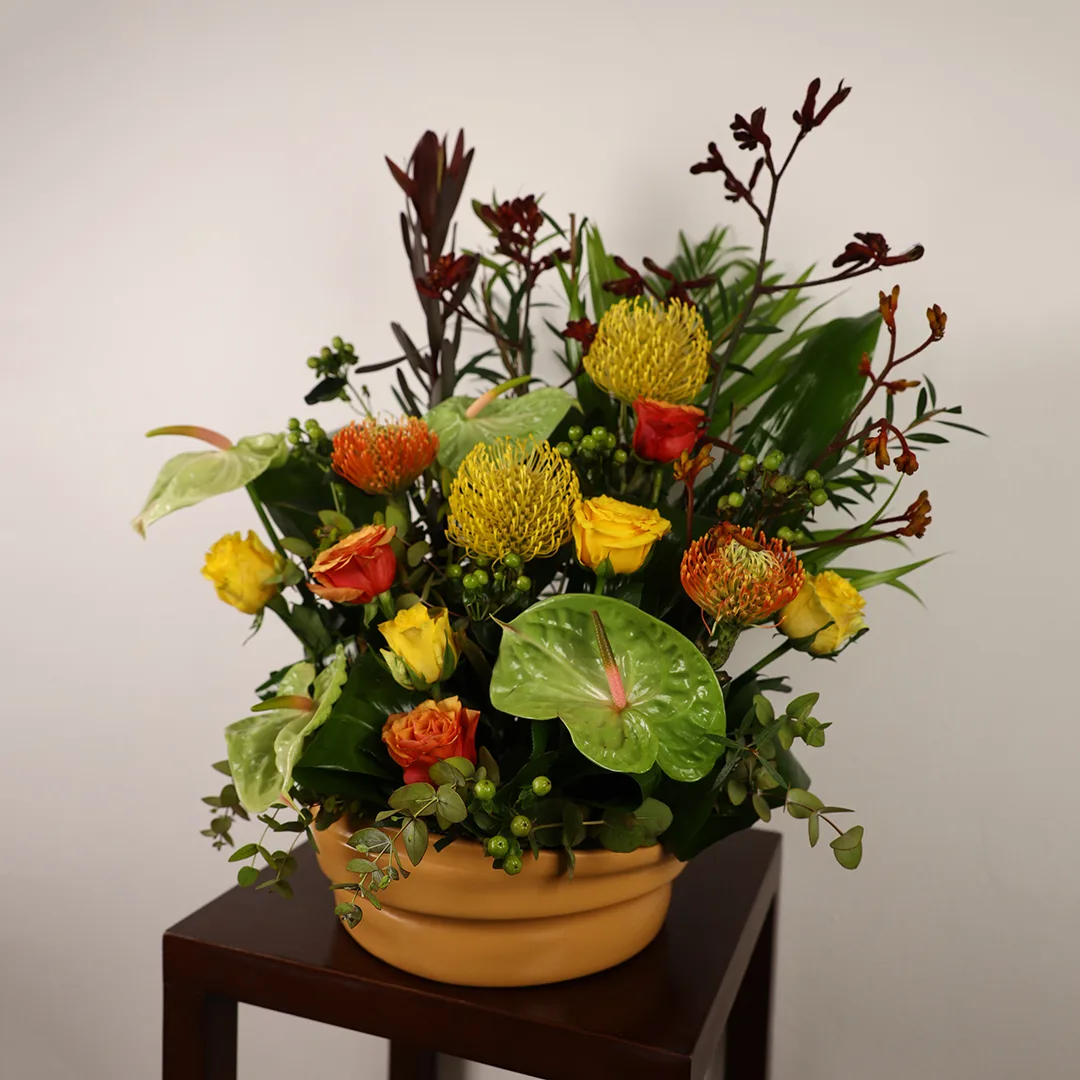 Serenade - Ar 4 - Image 2