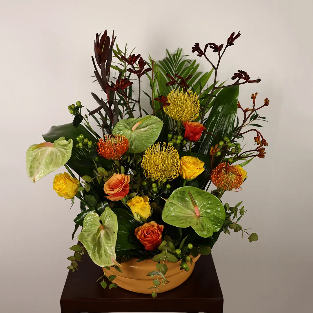 Serenade - Ar 4 - Image 3