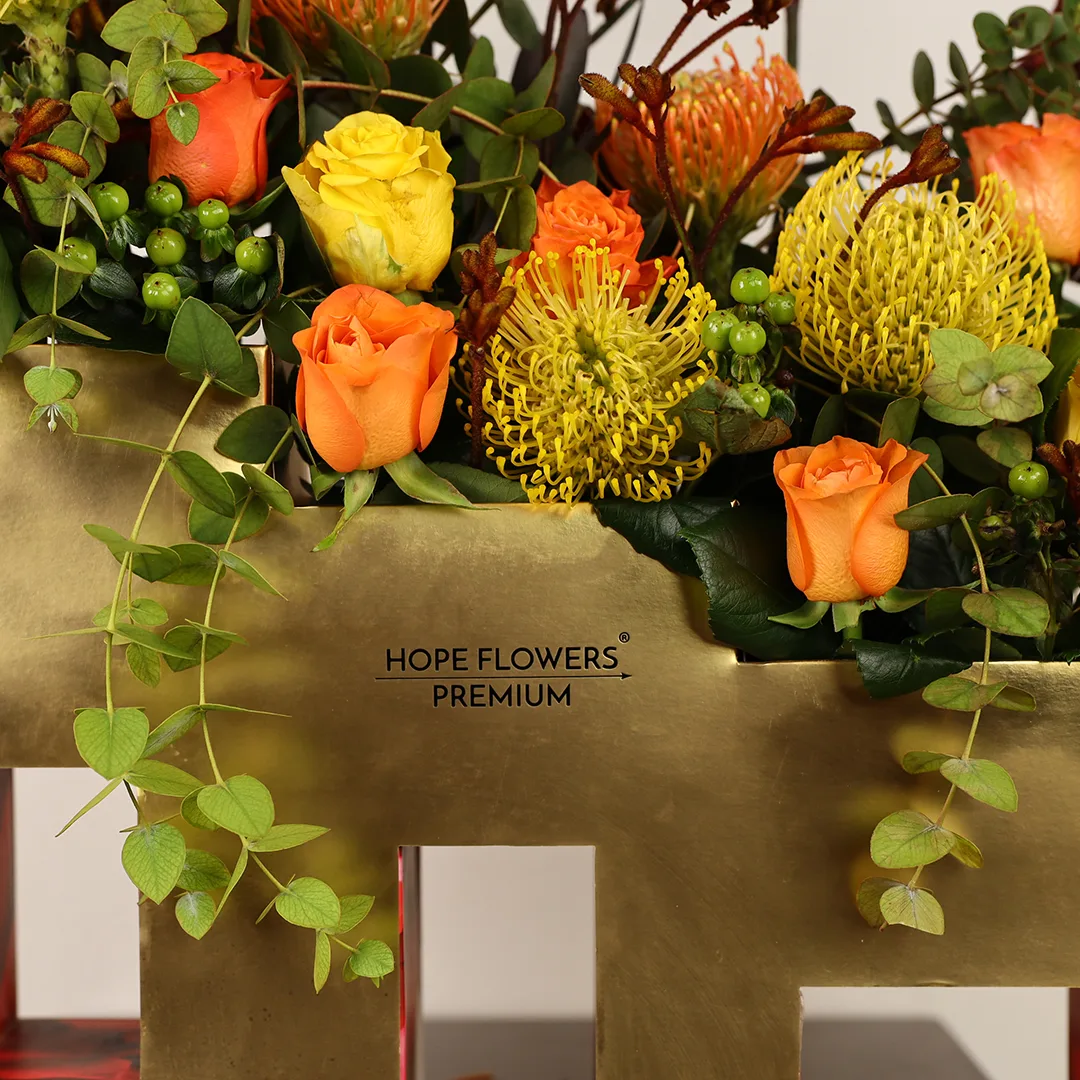 Radiance - Ar 6 - Image 5