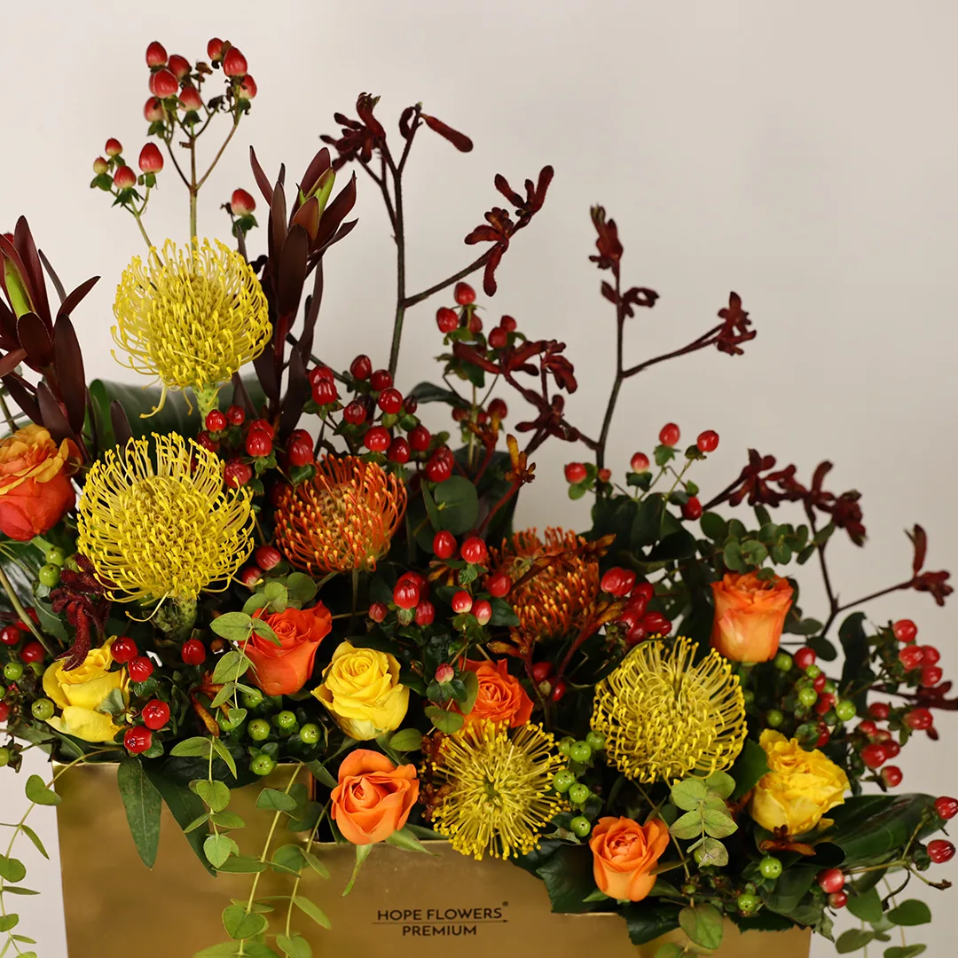 Radiance - Ar 6 - Image 6