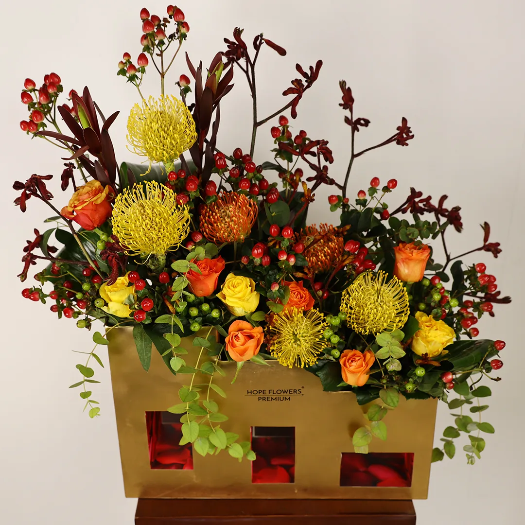 Radiance - Ar 6 - Image 7