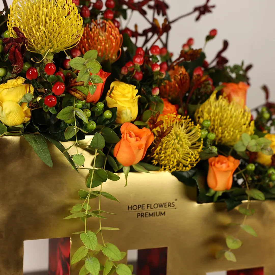 Radiance - Ar 6 - Image 8