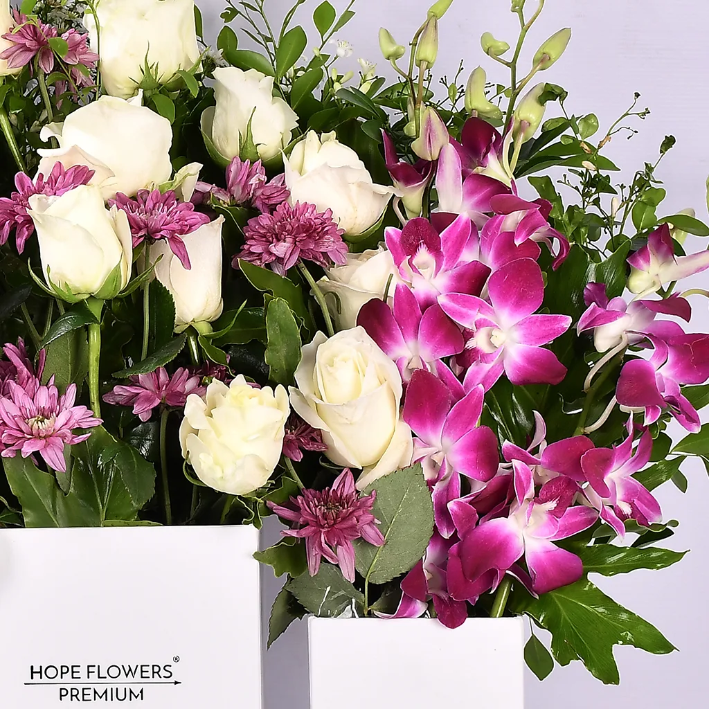 Delightful Duo - Em 68 - Image 3